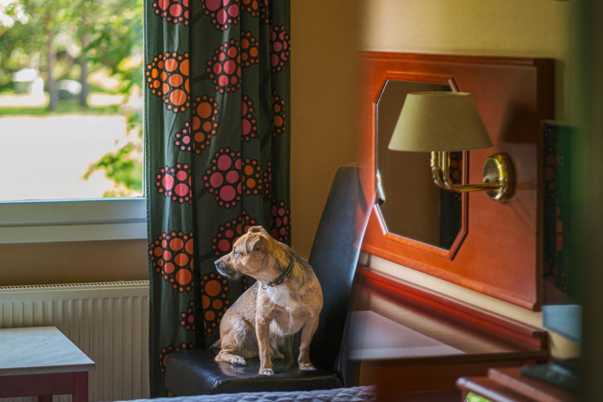 Jaemtkrogen Hotell Bracke  Номер фото